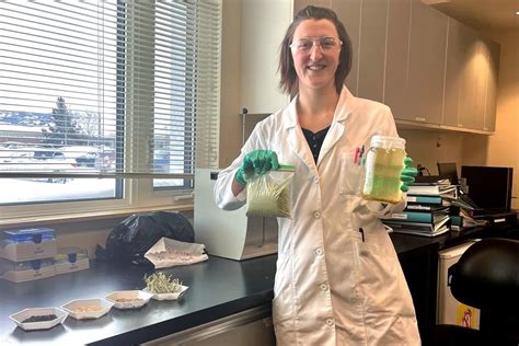 Invasive clover in Yukon can help clean mine water, even in the cold: researcher